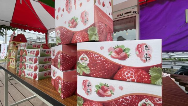 愛玩家嚴選｜新鮮草莓宅配