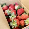 愛玩家嚴選｜新鮮草莓宅配