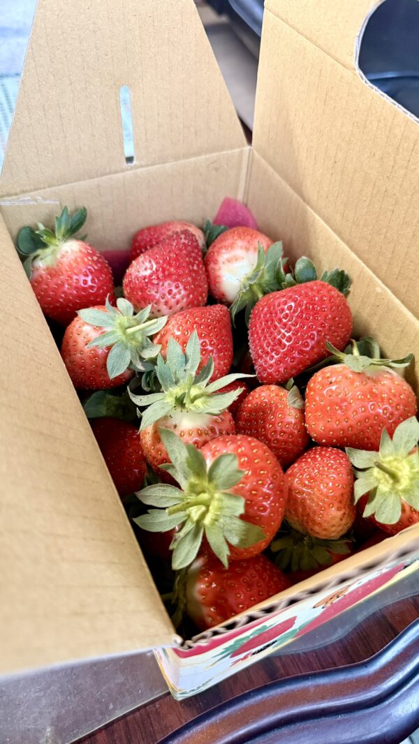 愛玩家嚴選｜新鮮草莓宅配