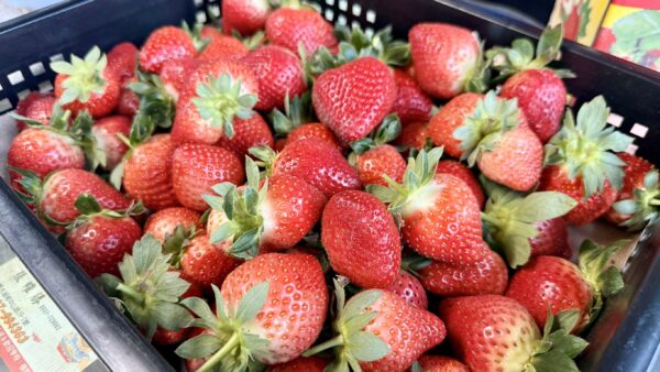 愛玩家嚴選｜新鮮草莓宅配