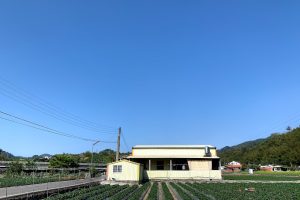 東大草莓園