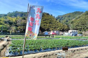 九九九草莓園