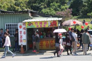 竹緣居草莓園