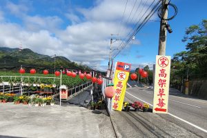 宋高架草莓園