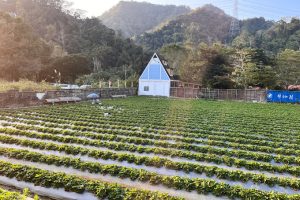 永興草莓園