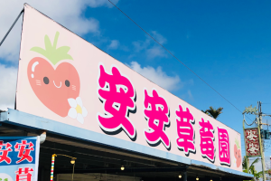 安安草莓園（大湖）